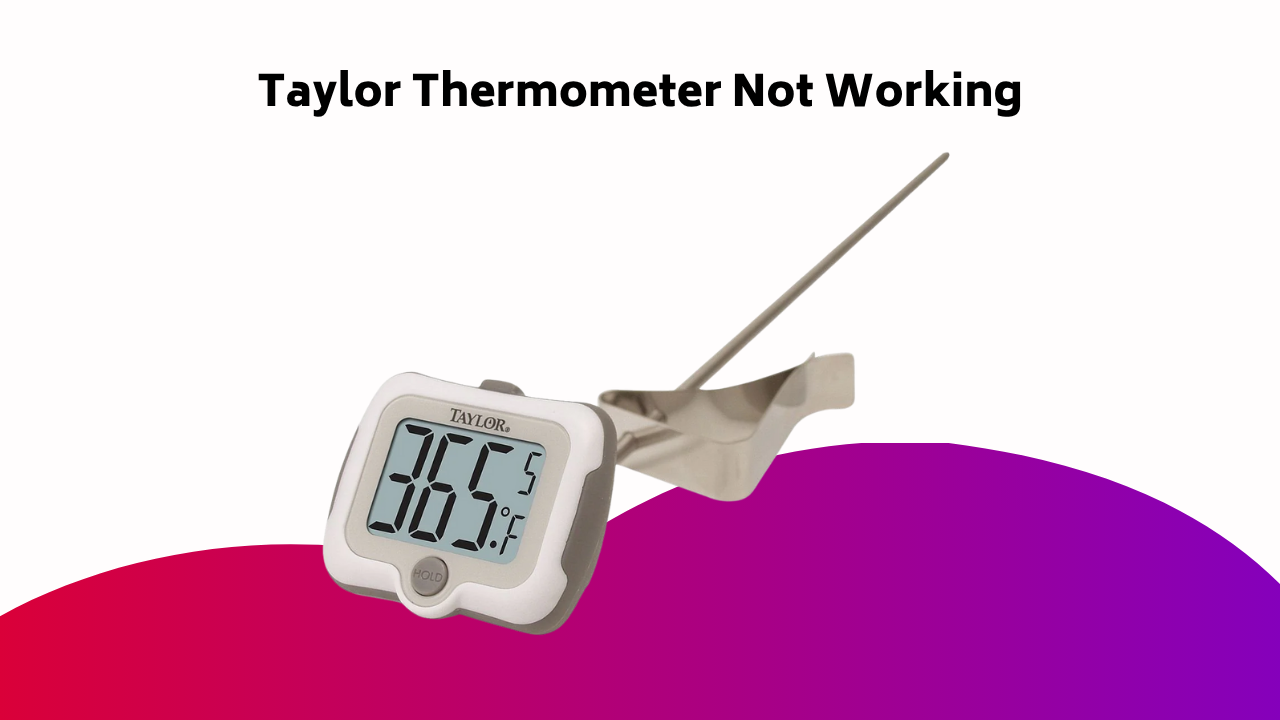 Taylor Thermometer Not Working