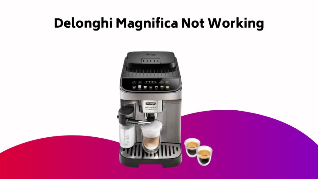 Delonghi Magnifica Not Working