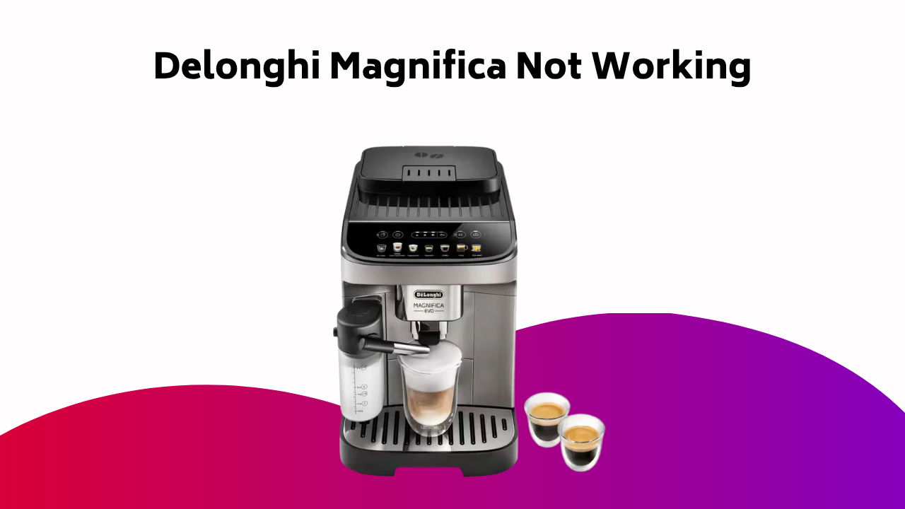 Delonghi Magnifica Not Working