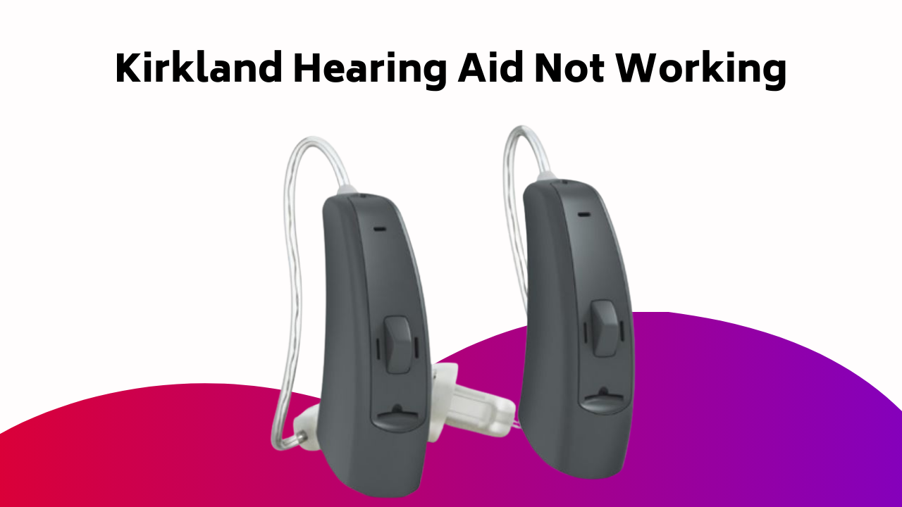 Kirkland Hearing Aid Not Working