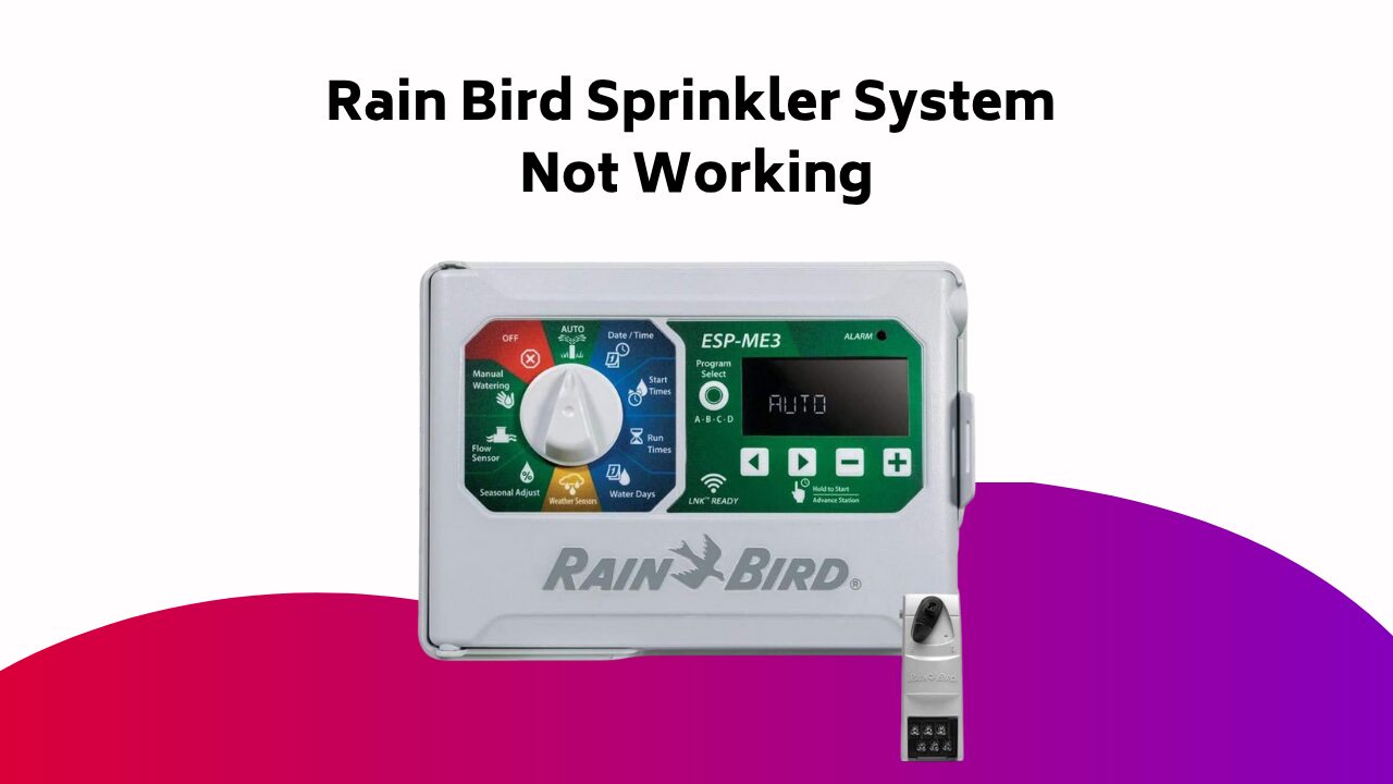 Rain Bird Sprinkler System Not Working